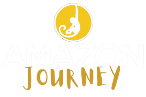 logo sin fondo 300 x 200